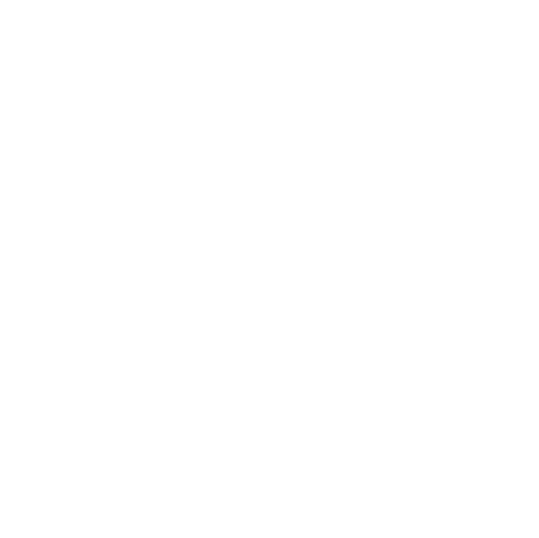 Ansarist_Icon (1)